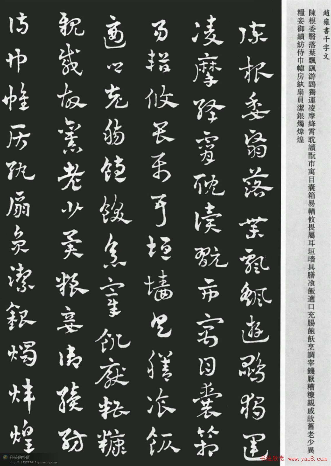 赵雍书法《章草千字文》大图欣赏