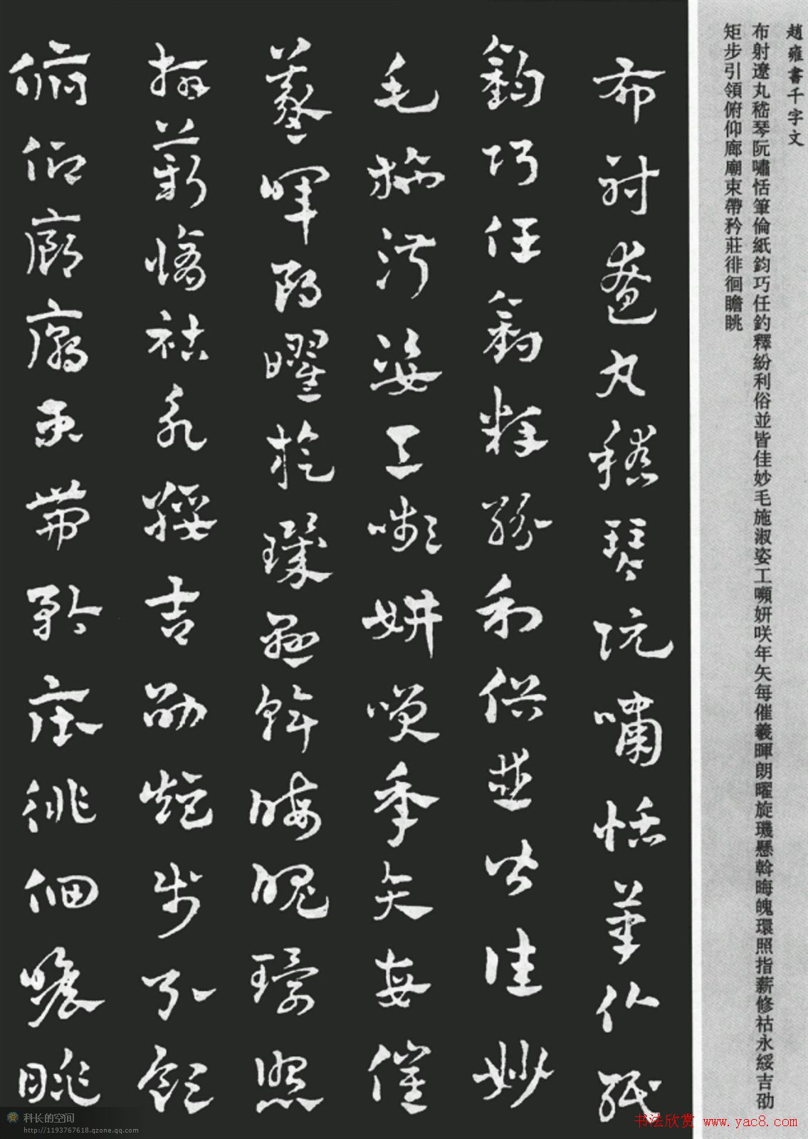 赵雍书法《章草千字文》大图欣赏