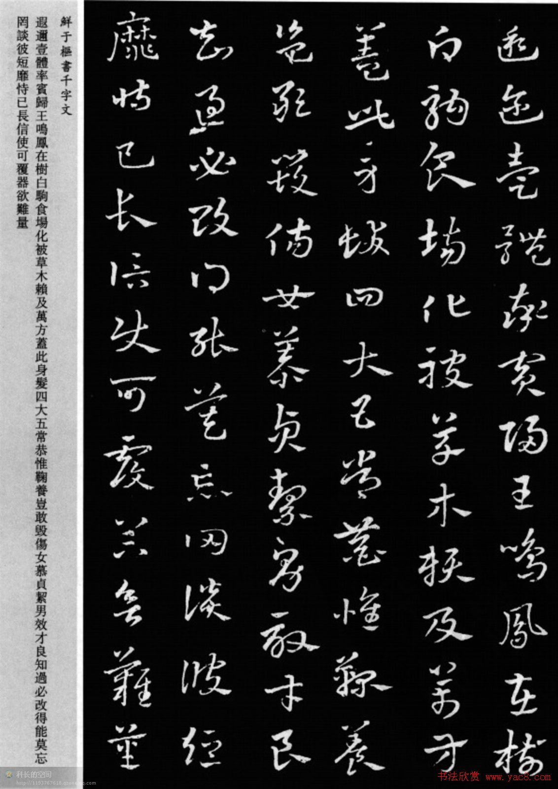 鲜于枢章草书法欣赏《千字文》大图