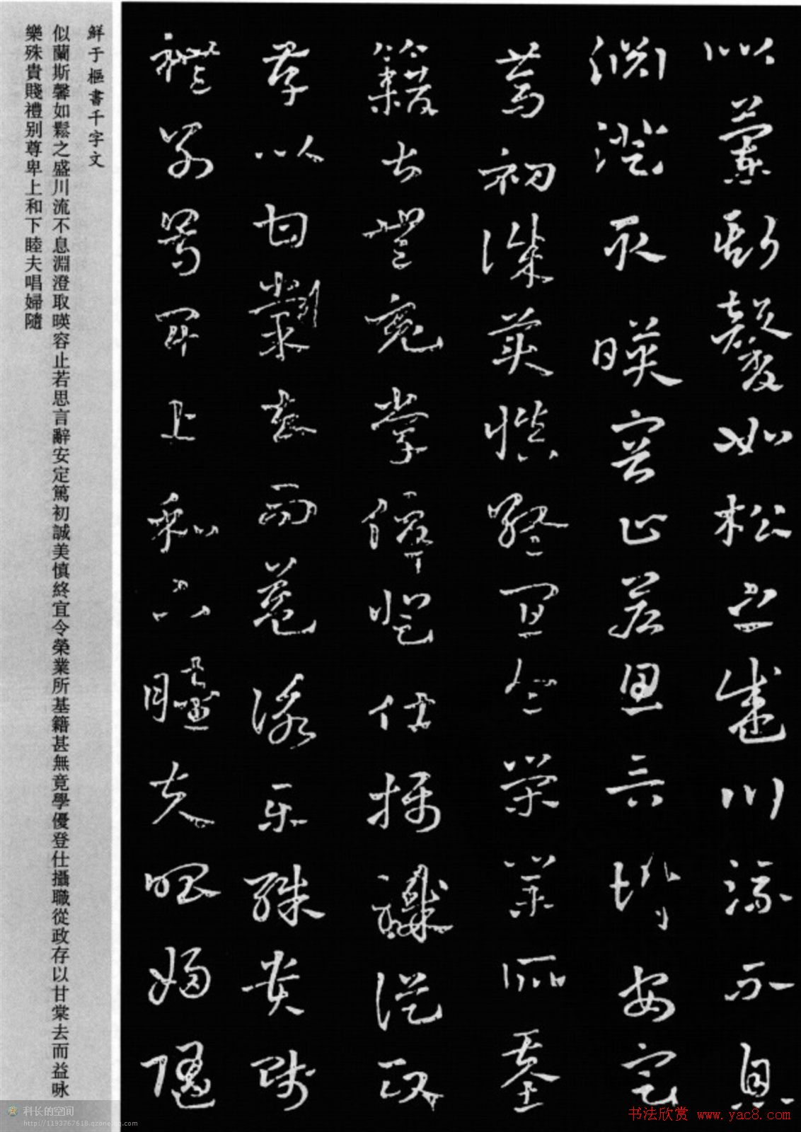 鲜于枢章草书法欣赏《千字文》大图