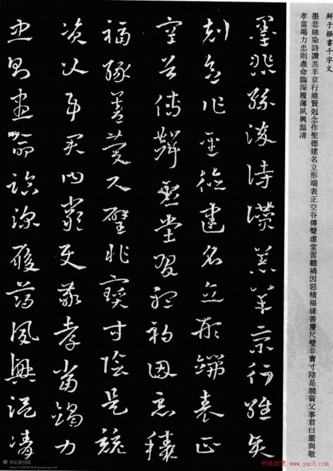 鲜于枢章草书法欣赏《千字文》大图