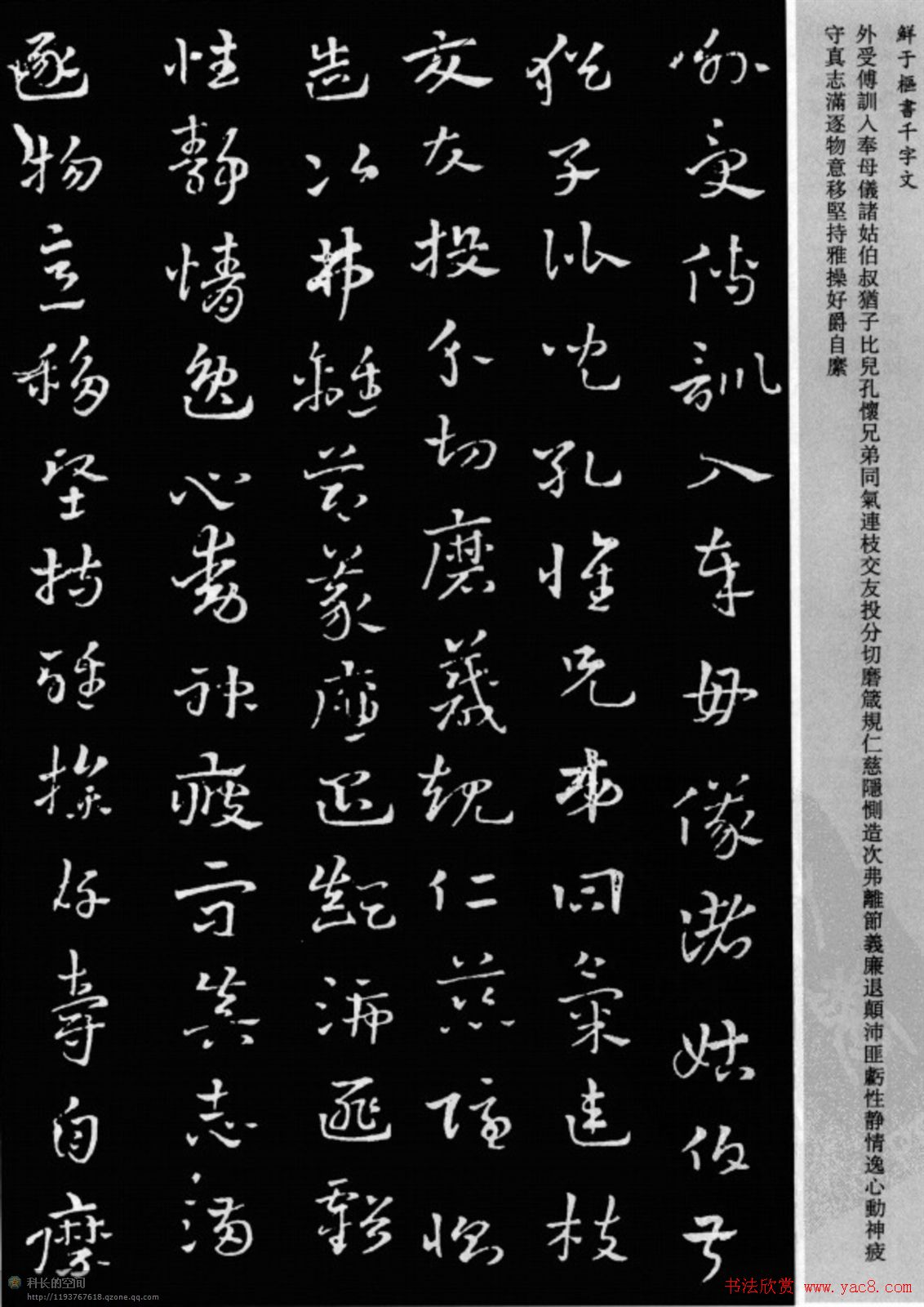 鲜于枢章草书法欣赏《千字文》大图