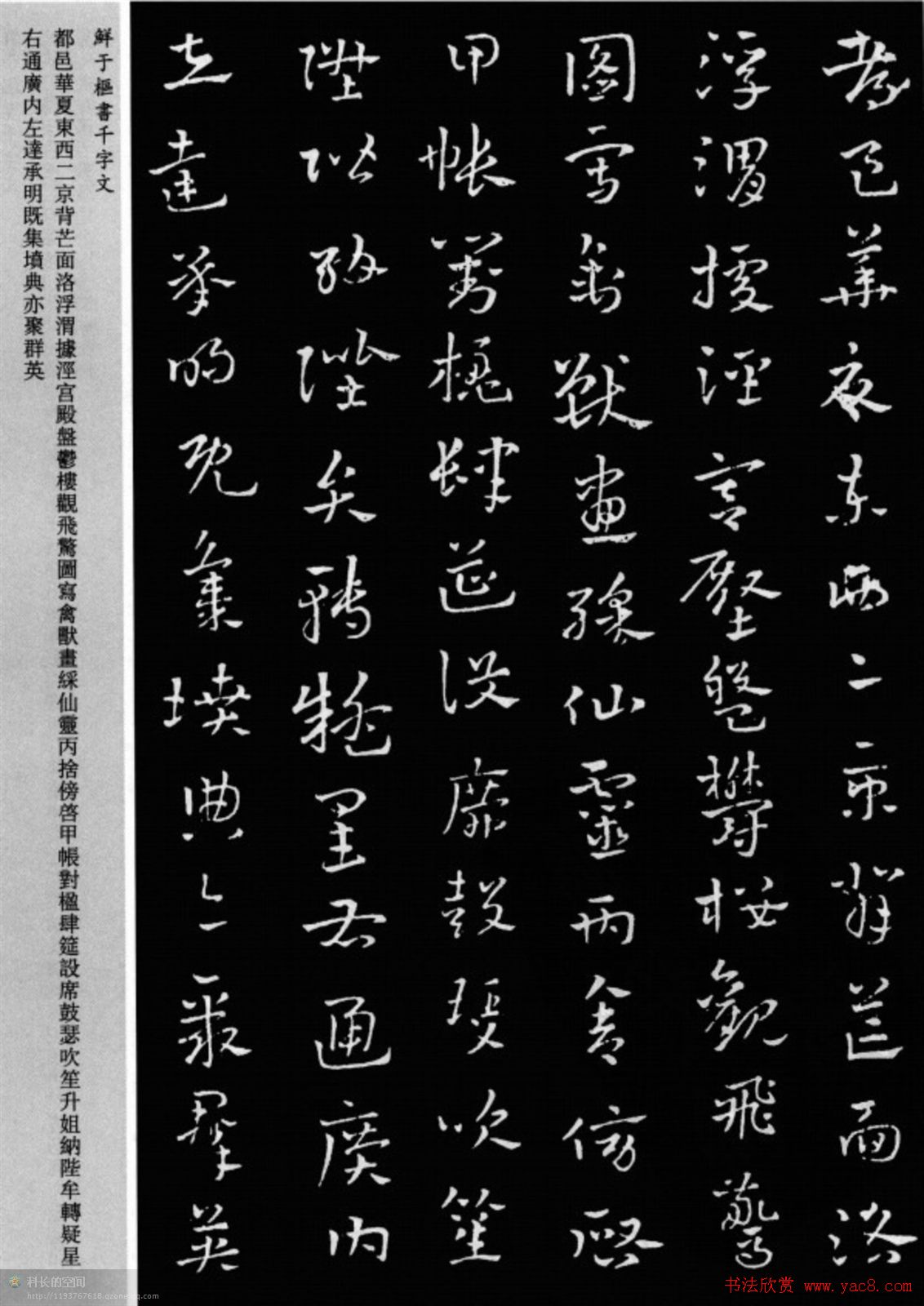 鲜于枢章草书法欣赏《千字文》大图