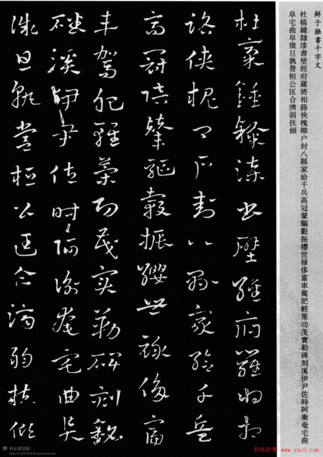 鲜于枢章草书法欣赏《千字文》大图