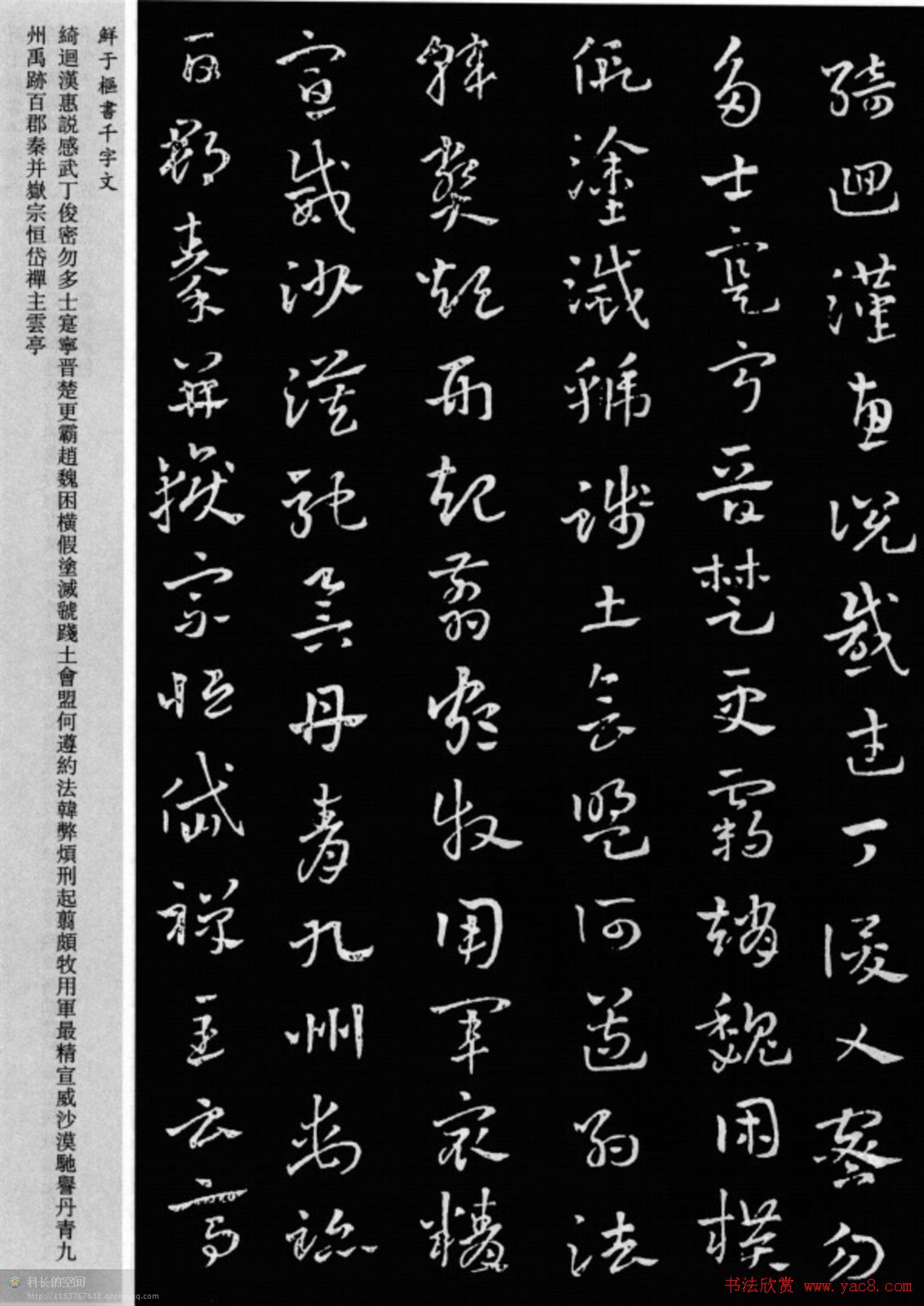 鲜于枢章草书法欣赏《千字文》大图