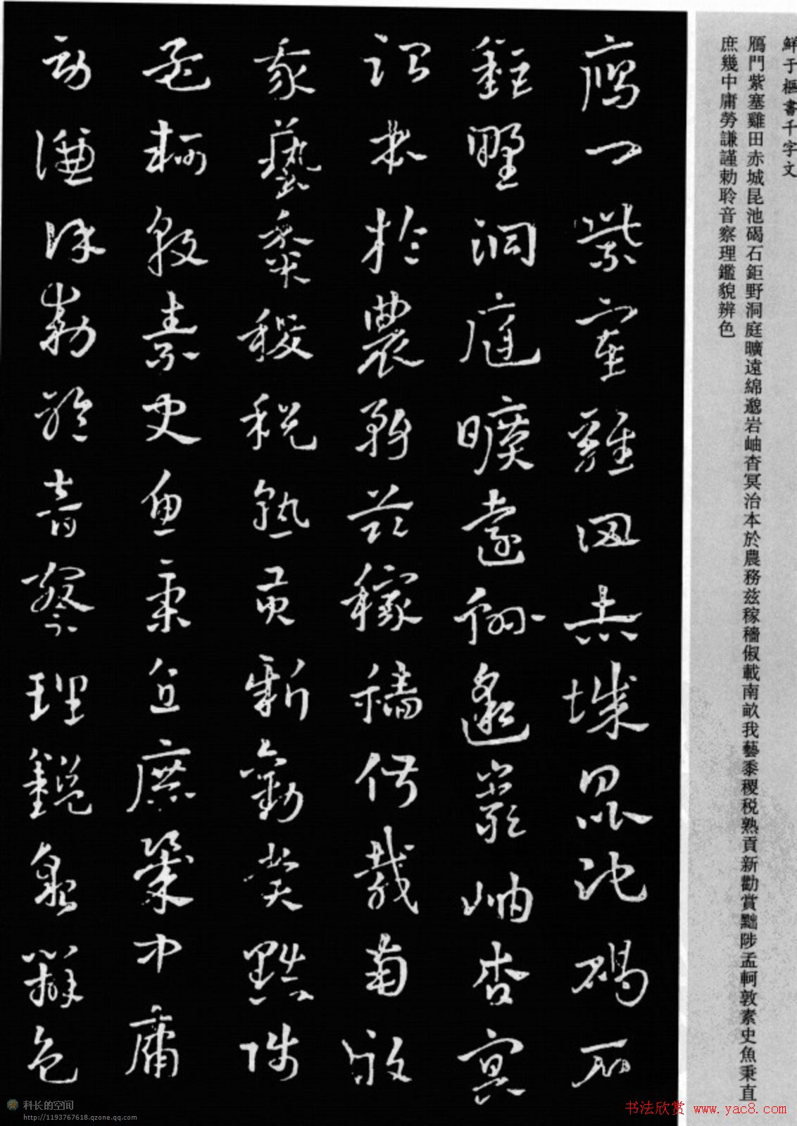 鲜于枢章草书法欣赏《千字文》大图