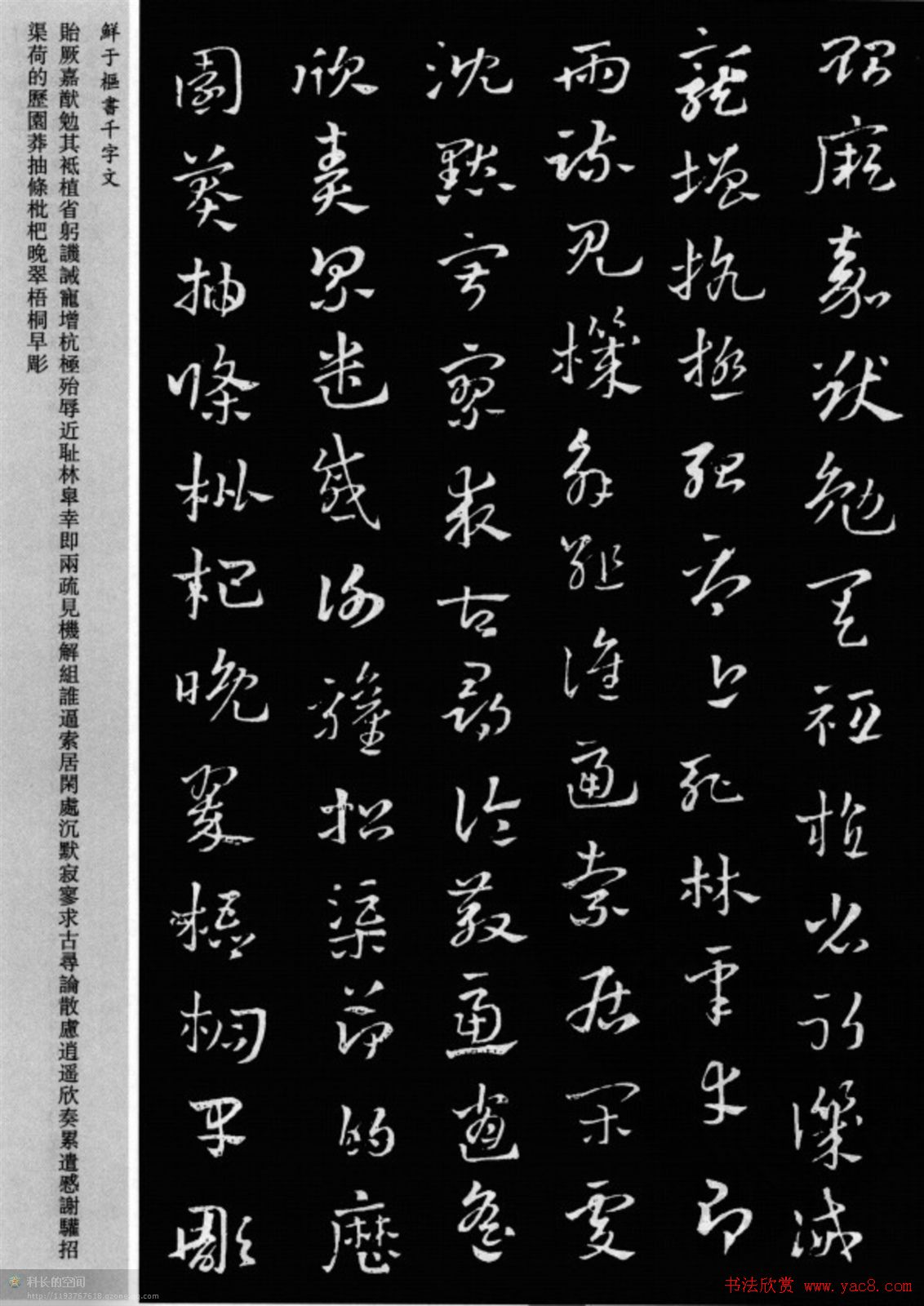 鲜于枢章草书法欣赏《千字文》大图