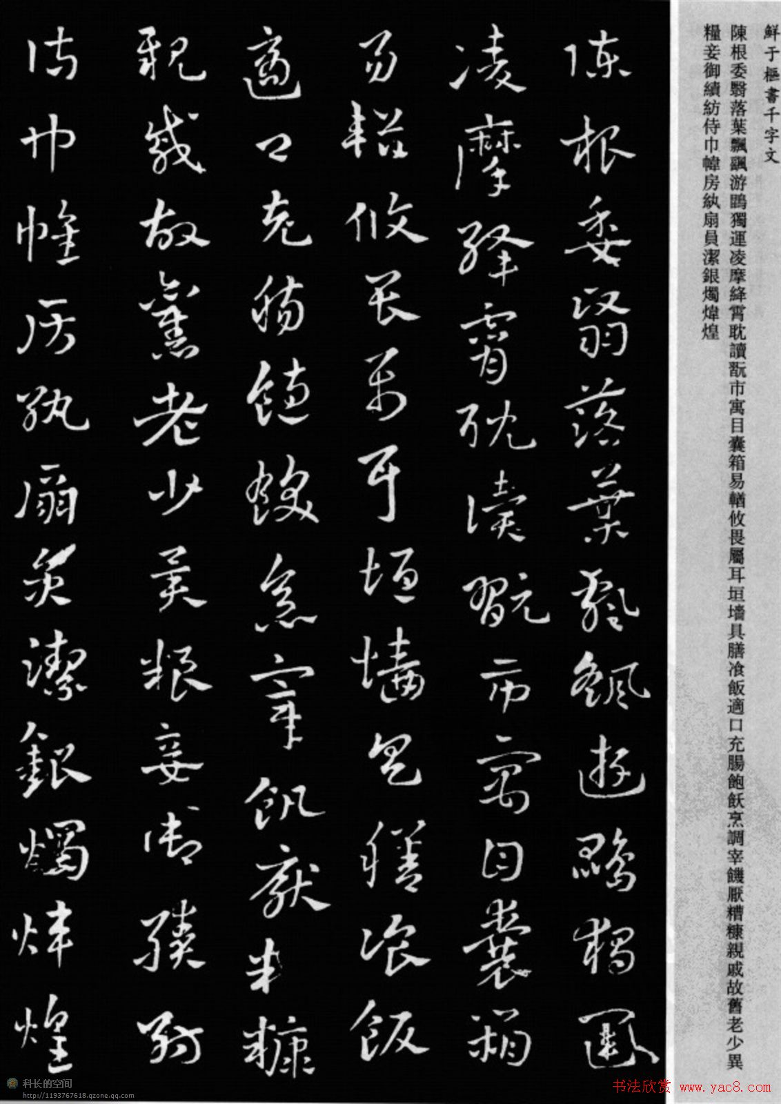 鲜于枢章草书法欣赏《千字文》大图