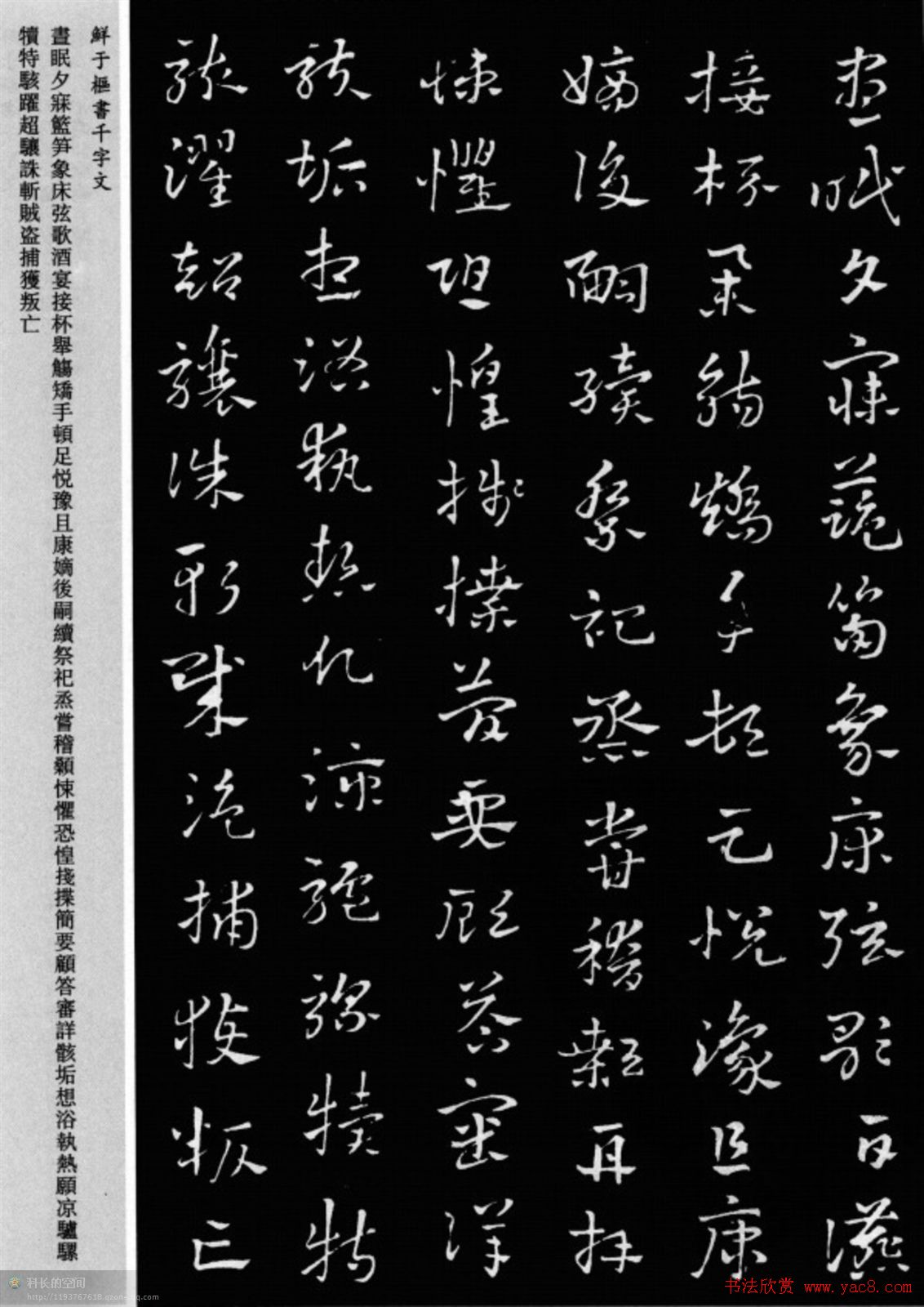 鲜于枢章草书法欣赏《千字文》大图