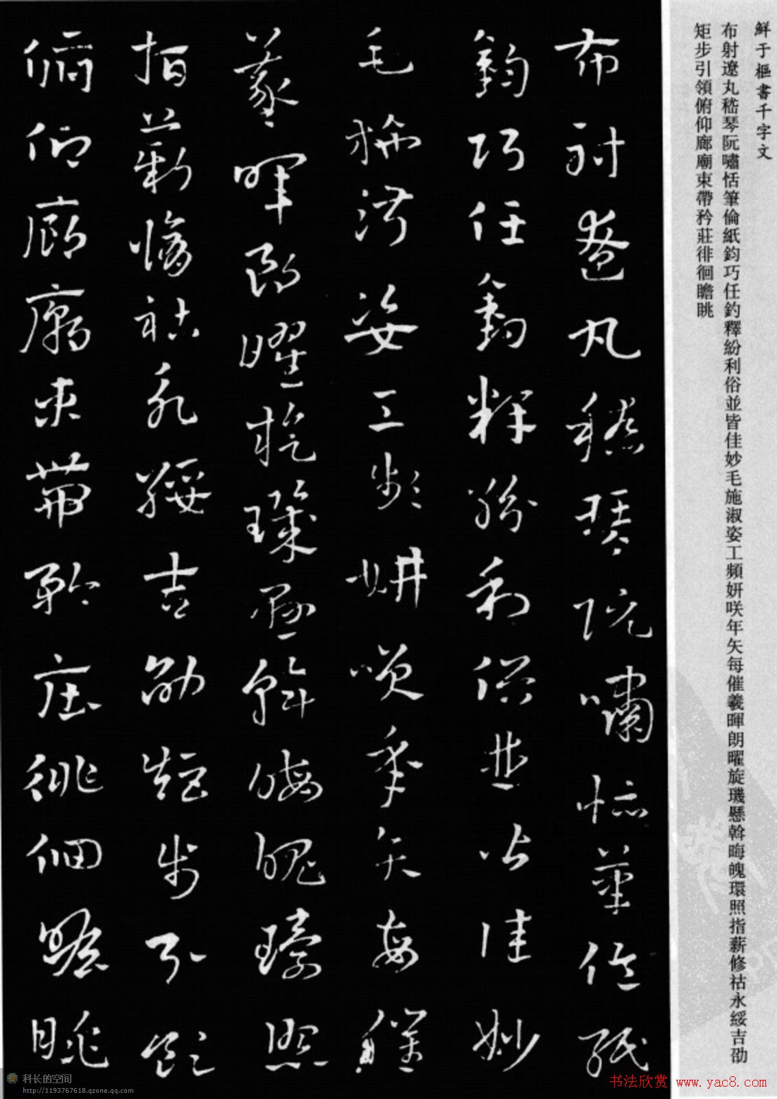 鲜于枢章草书法欣赏《千字文》大图