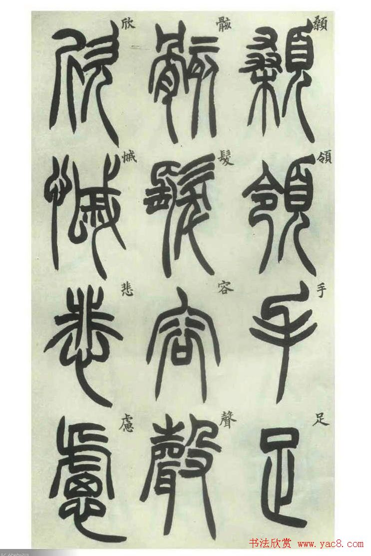 书法字帖欣赏《胡澍篆书册》