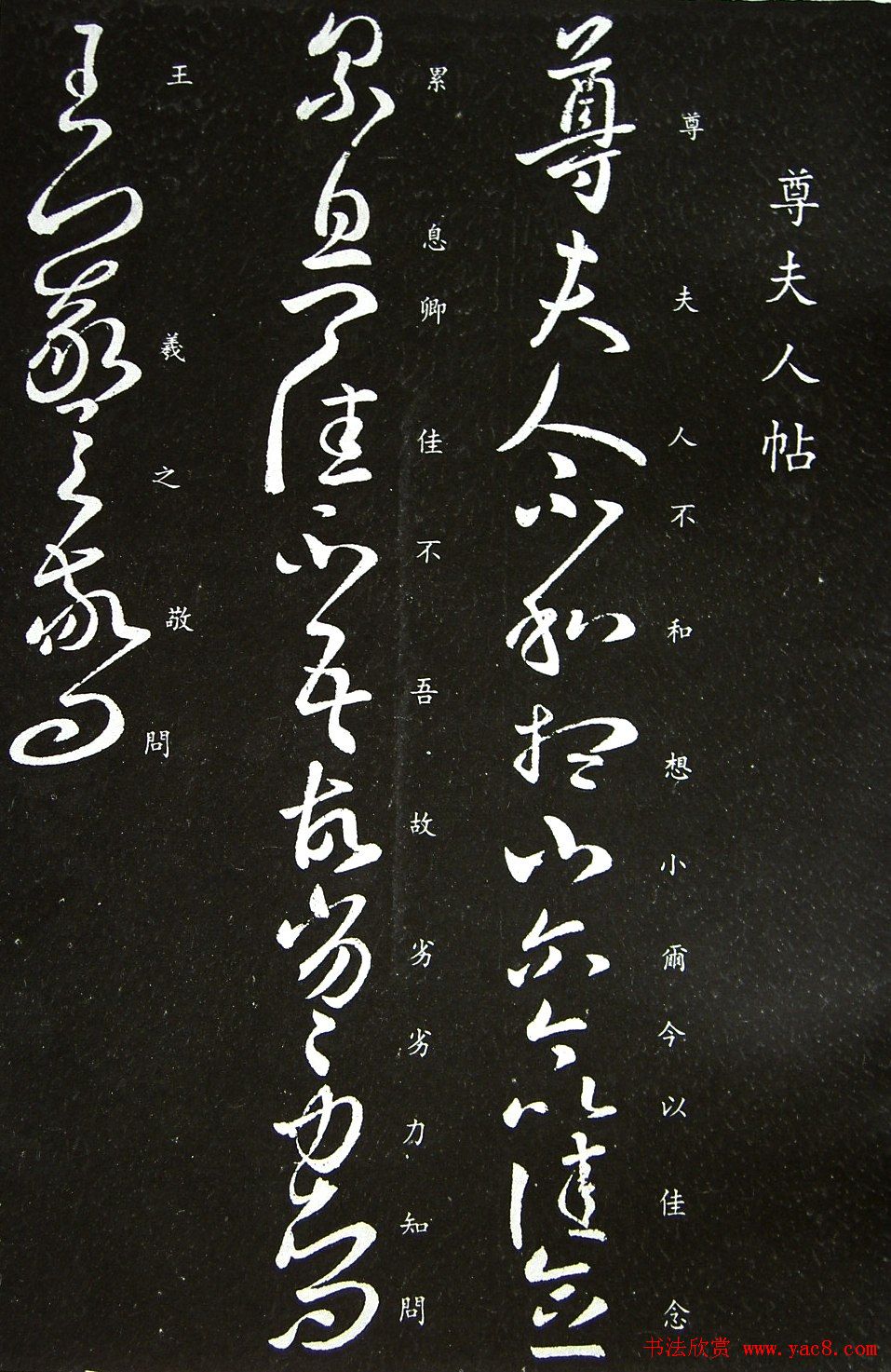 王羲之书法草书欣赏《尊夫人帖》