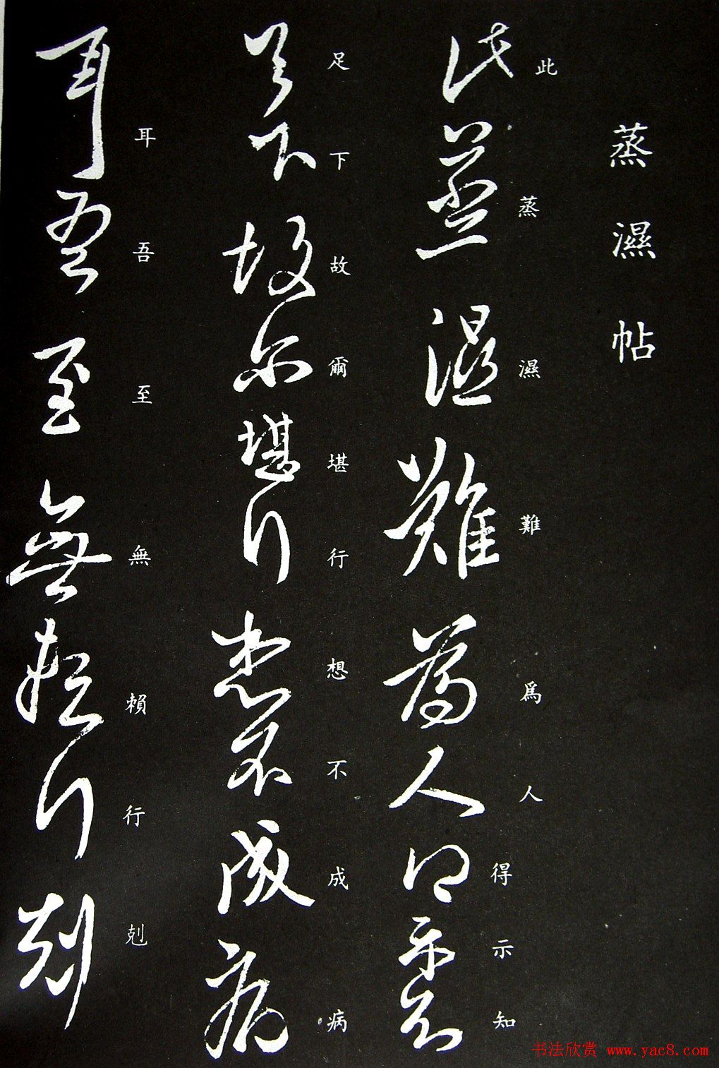 王羲之草书欣赏《蒸湿帖》+《爱为上帖》