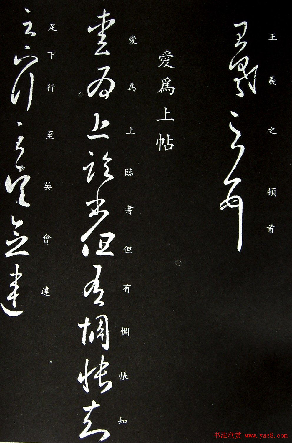 王羲之草书欣赏《蒸湿帖》+《爱为上帖》