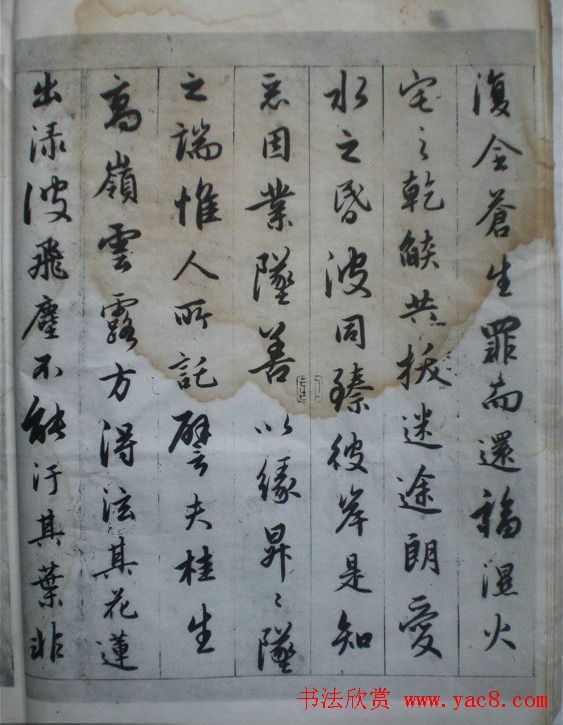 赵孟頫书法作品《临圣教序》