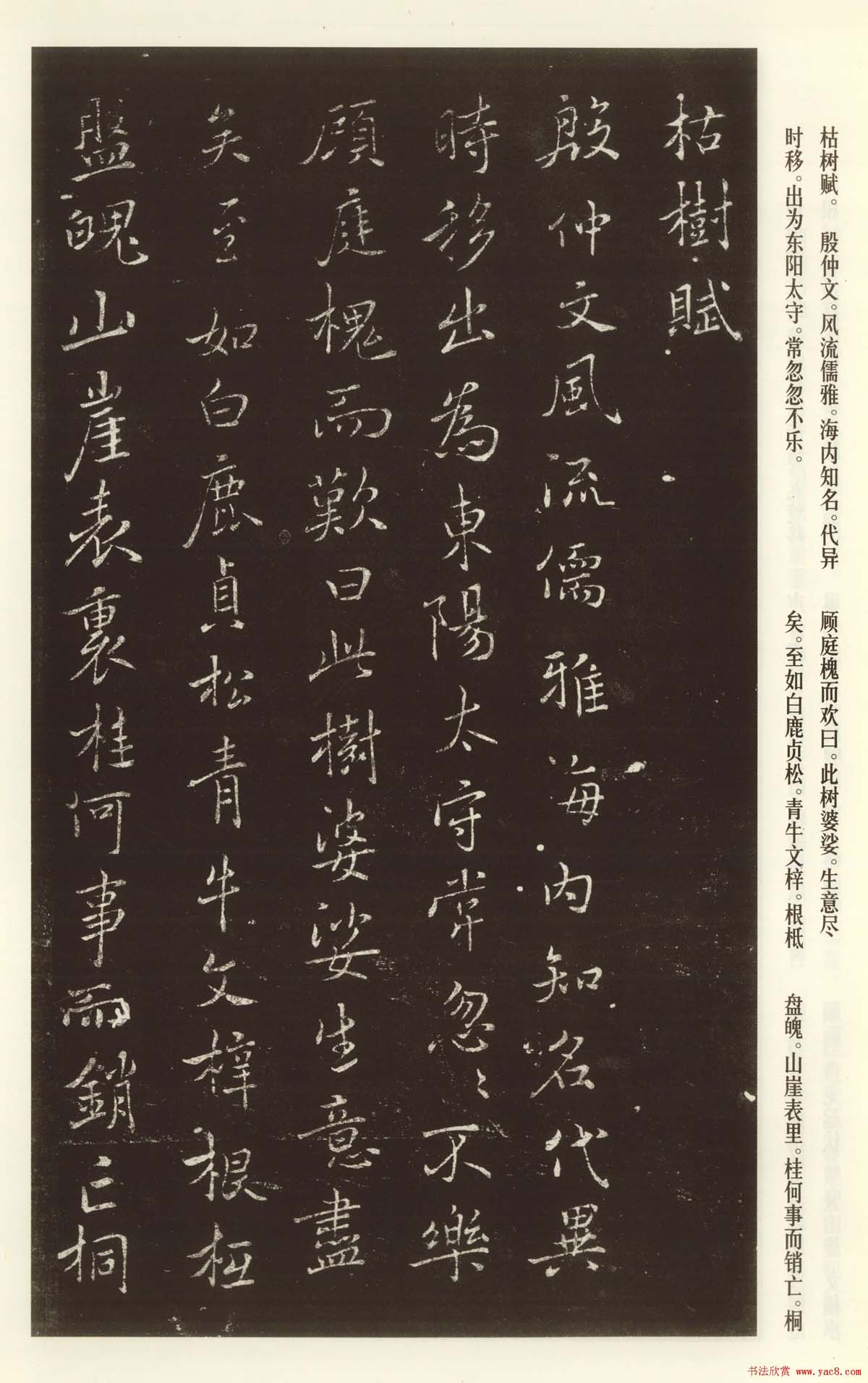 褚遂良书法欣赏《枯树赋》(大图)