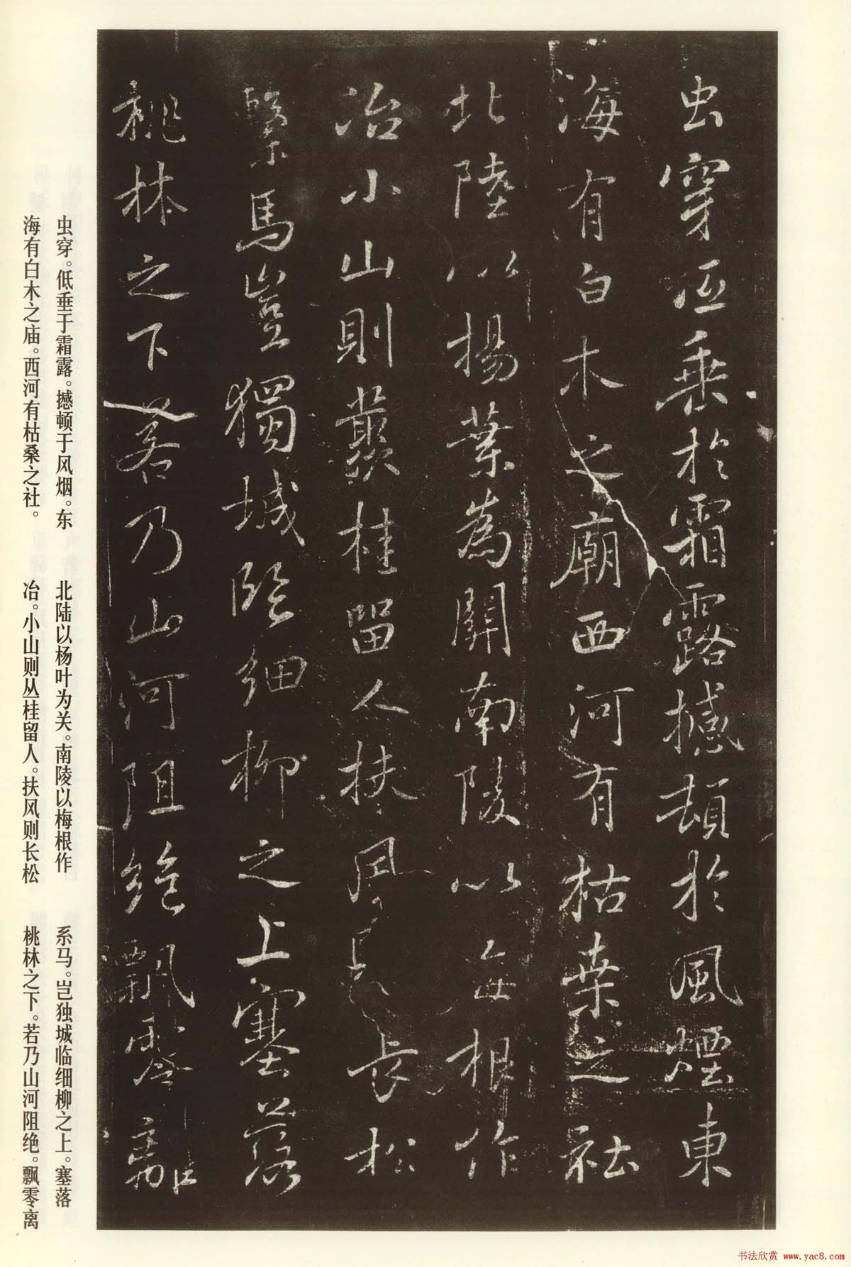 褚遂良书法欣赏《枯树赋》(大图)