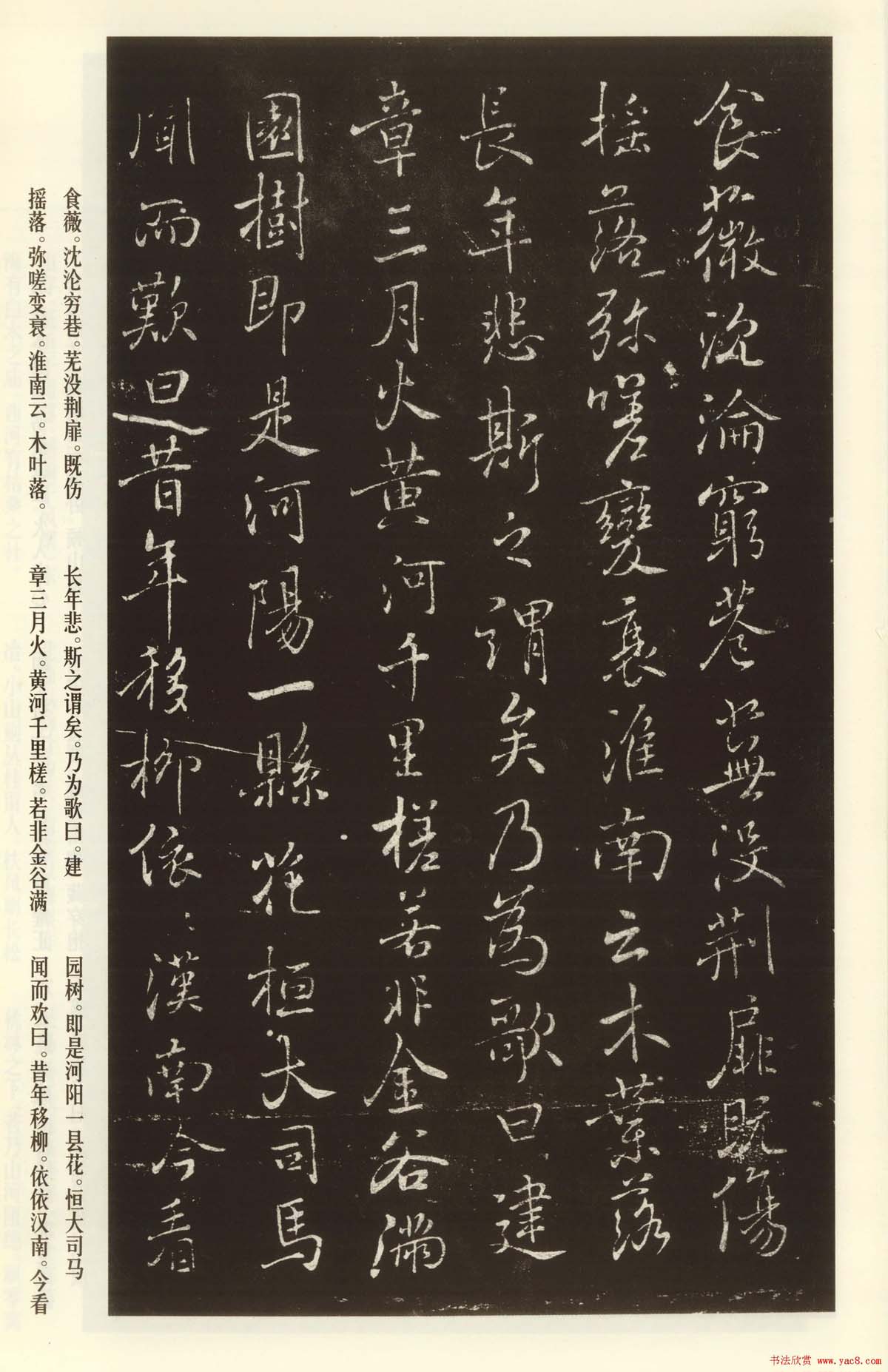 褚遂良书法欣赏《枯树赋》(大图)