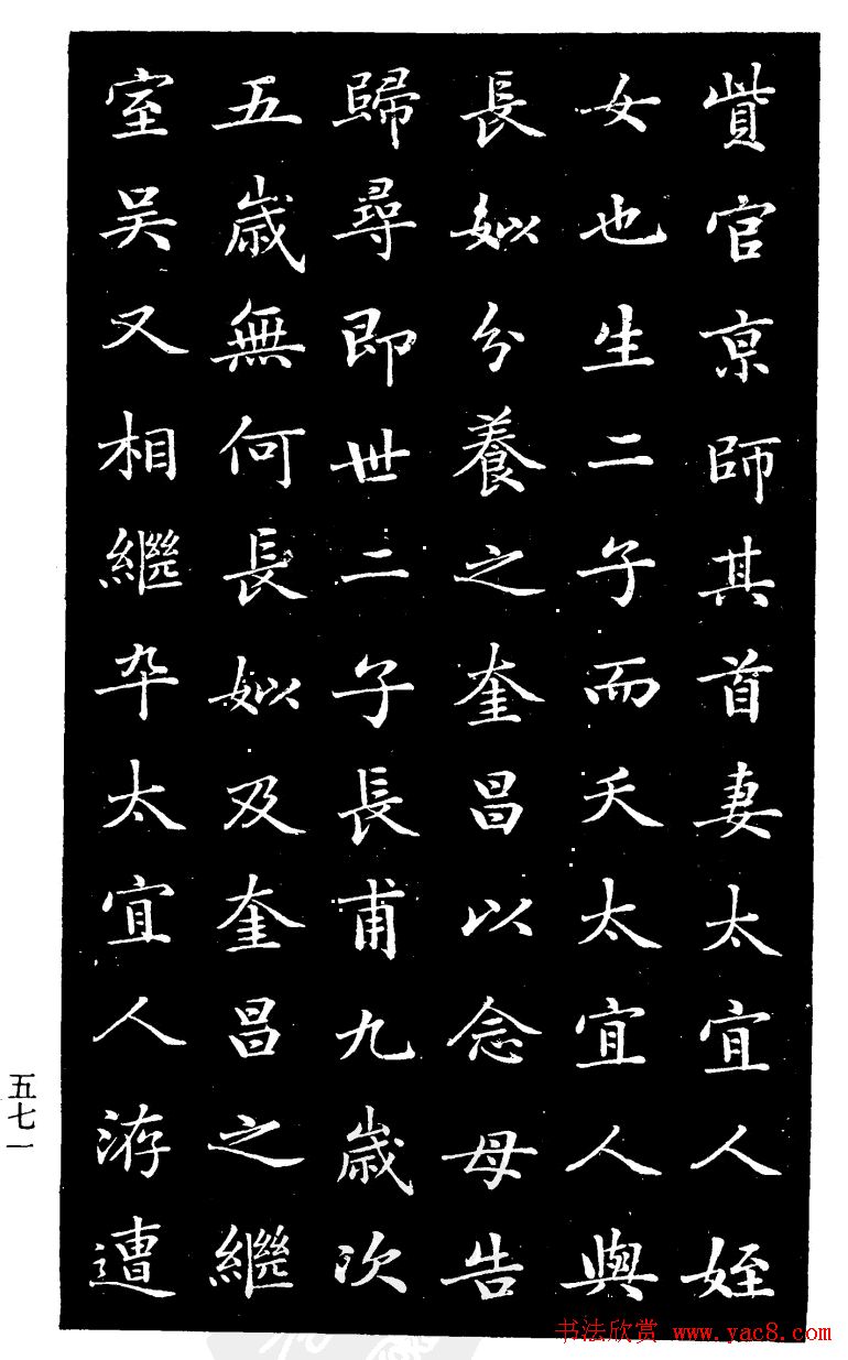 赵树吉书法欣赏《钱太宜人墓志铭》