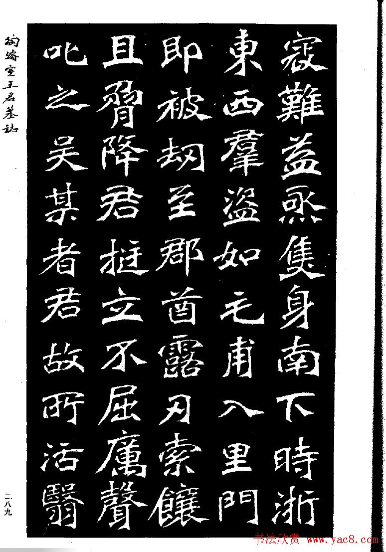 陶浚宣魏书欣赏《王君墓志》