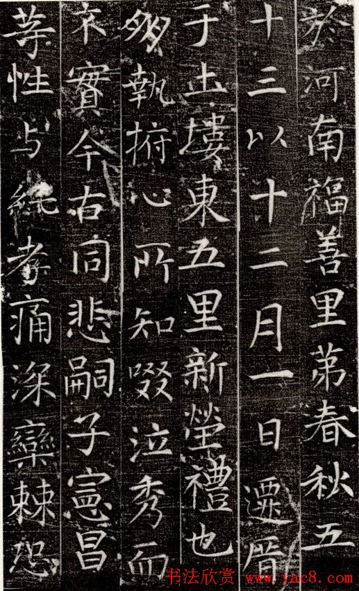 张旭书法楷书欣赏《严仁墓志》 张旭书法楷书欣赏《严仁墓志》