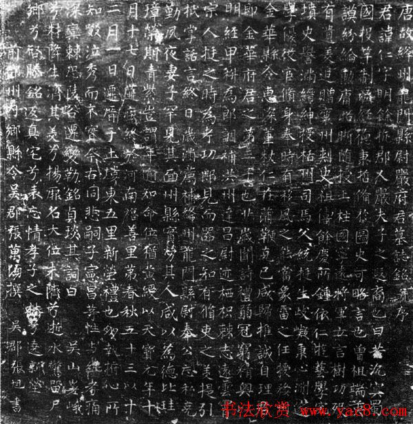 张旭书法楷书欣赏《严仁墓志》 张旭书法楷书欣赏《严仁墓志》