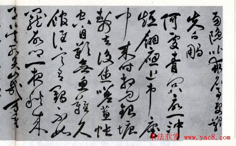 祝允明草书欣赏《闲居秋日诗卷》