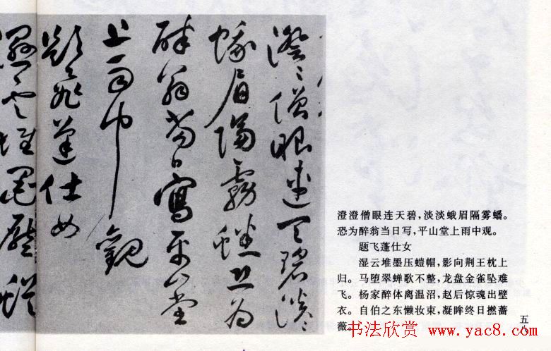 祝允明草书欣赏《闲居秋日诗卷》