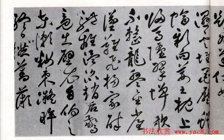 祝允明草书欣赏《闲居秋日诗卷》