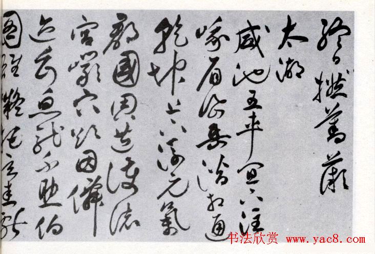 祝允明草书欣赏《闲居秋日诗卷》