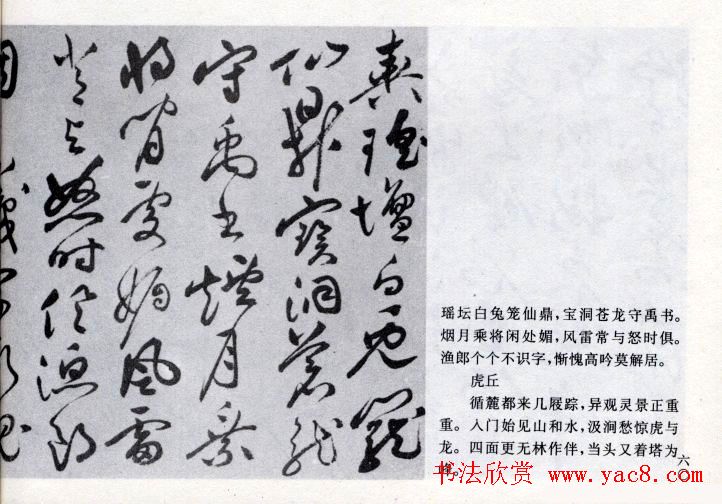 祝允明草书欣赏《闲居秋日诗卷》