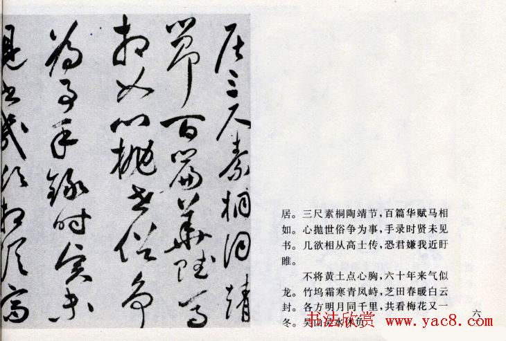 祝允明草书欣赏《闲居秋日诗卷》