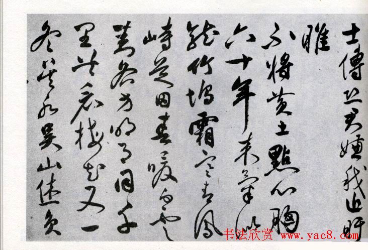 祝允明草书欣赏《闲居秋日诗卷》