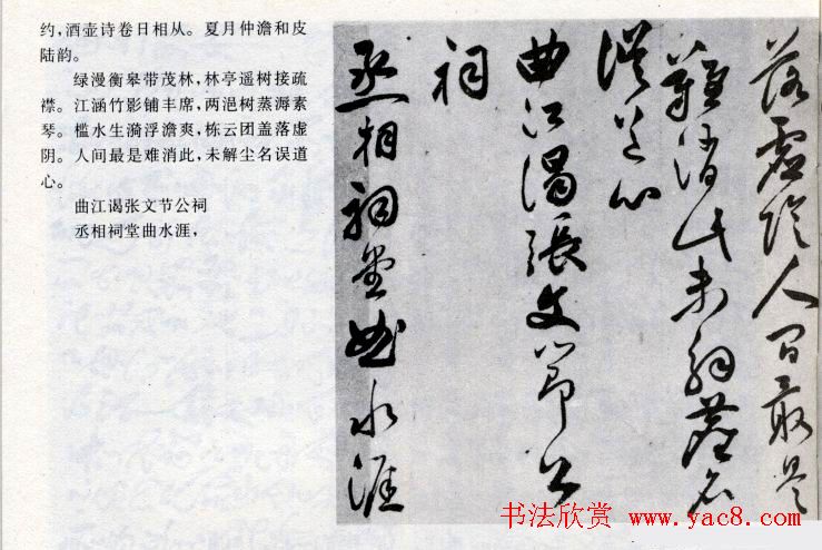 祝允明草书欣赏《闲居秋日诗卷》