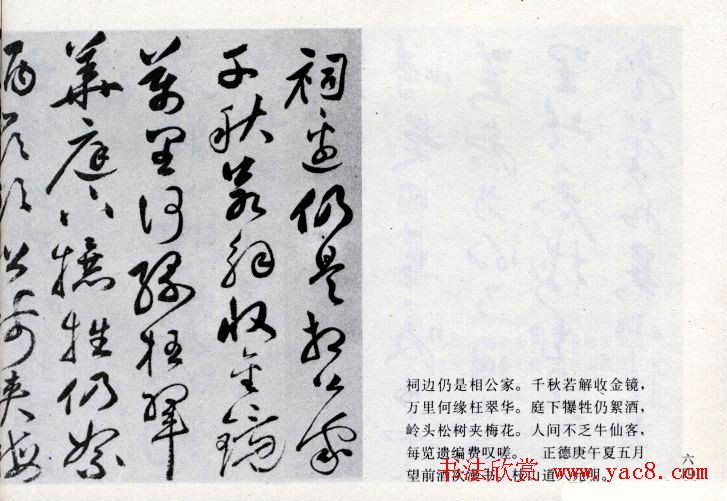 祝允明草书欣赏《闲居秋日诗卷》