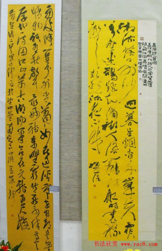 全国第二届草书展入展作品欣赏