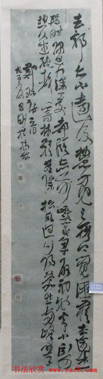 全国第二届草书展入展作品欣赏