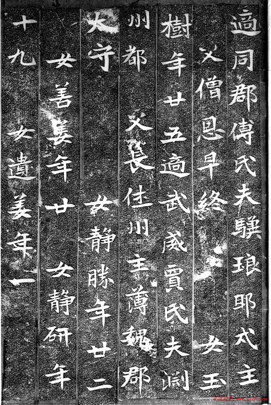 北魏书法刻石《崔猷墓志》全图