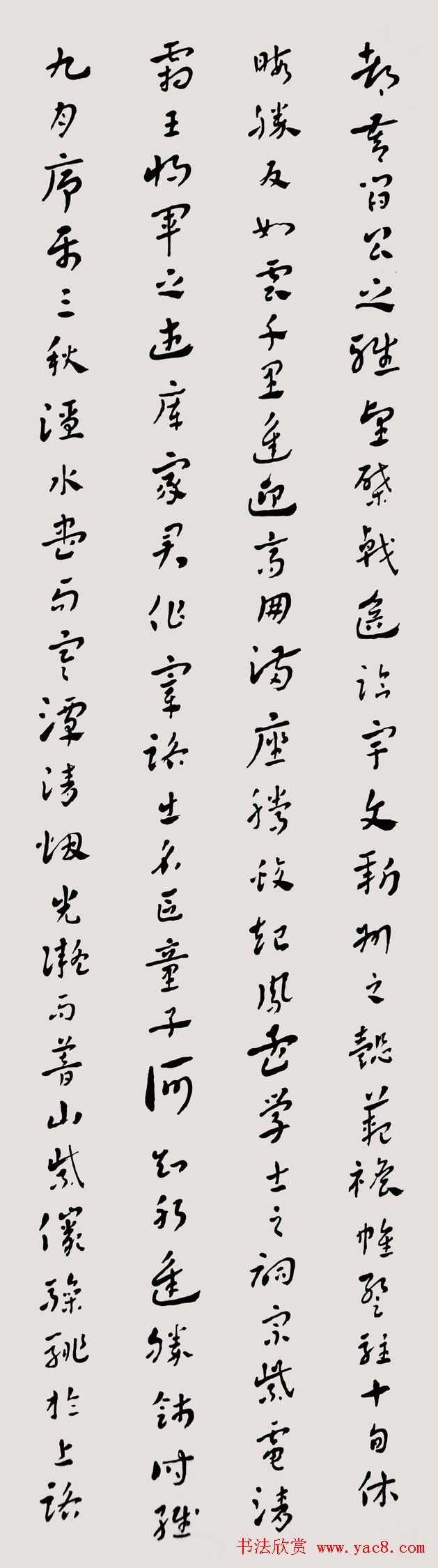 常福居士章草欣赏《滕王阁序》