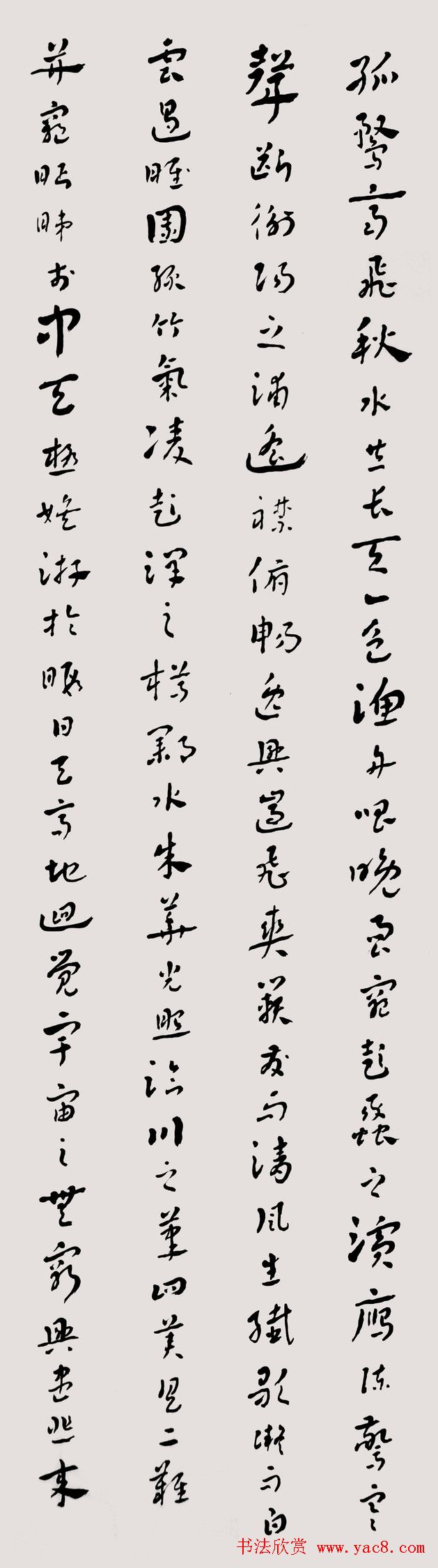 常福居士章草欣赏《滕王阁序》