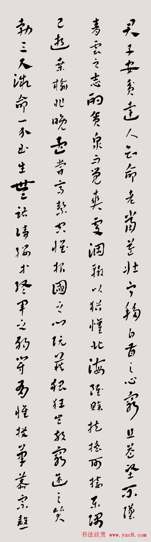 常福居士章草欣赏《滕王阁序》