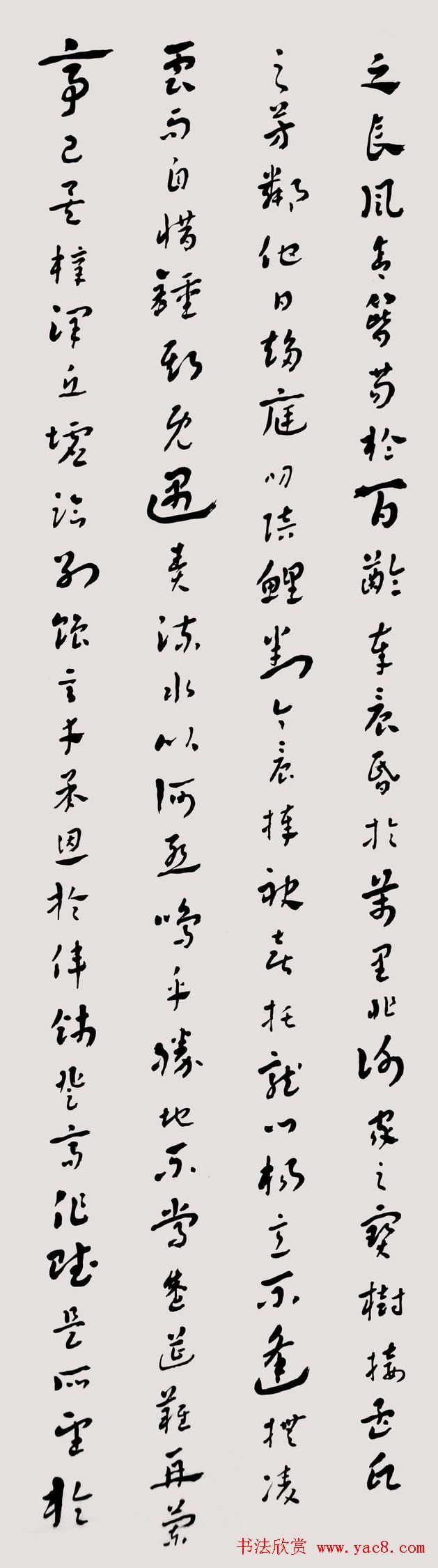 常福居士章草欣赏《滕王阁序》