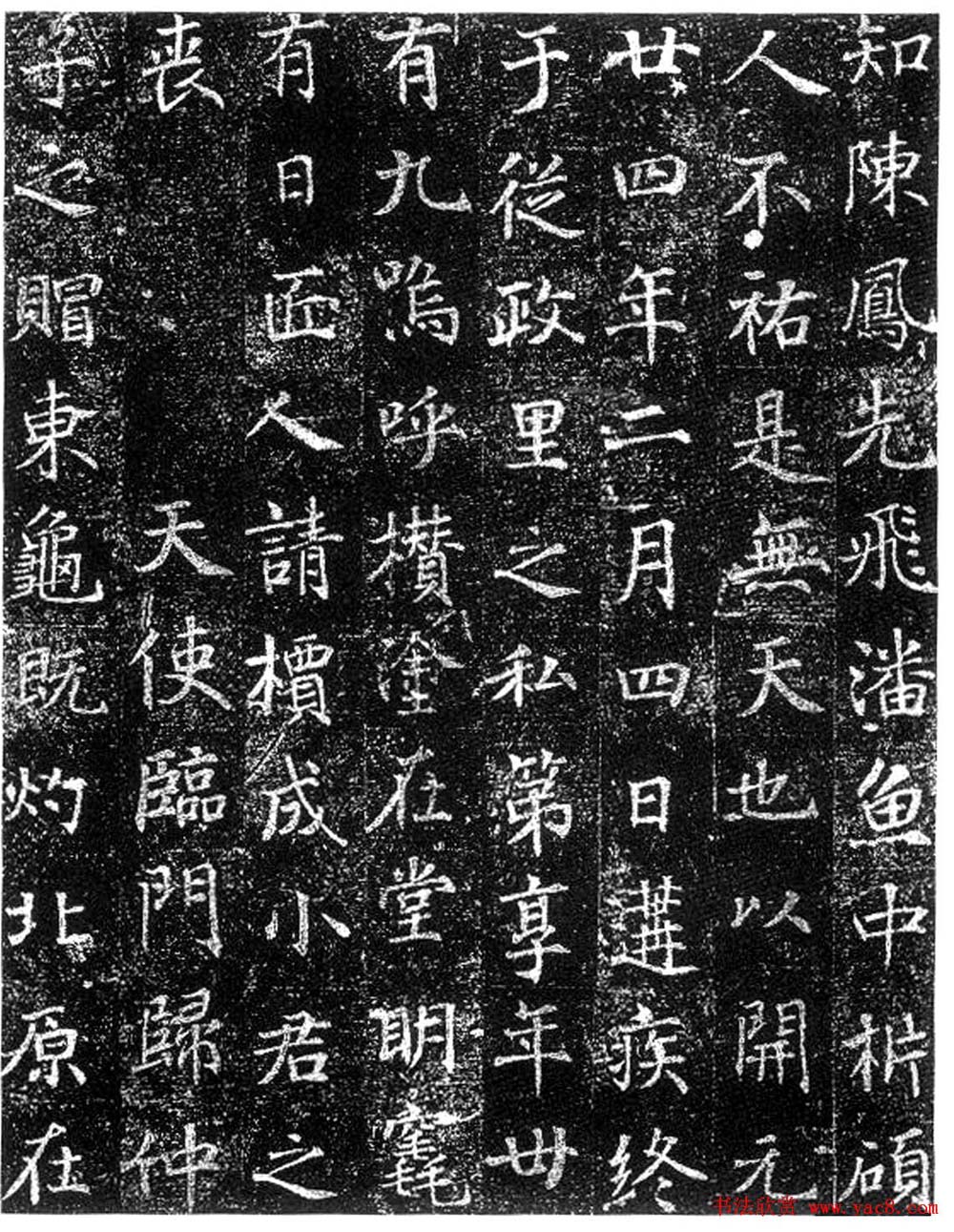 徐浩楷书欣赏《陈尚仙墓志》