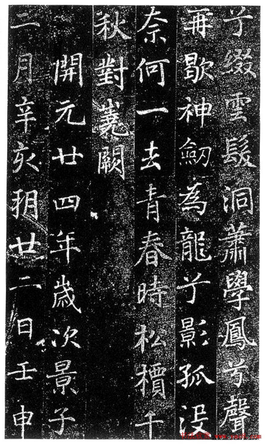 徐浩楷书欣赏《陈尚仙墓志》