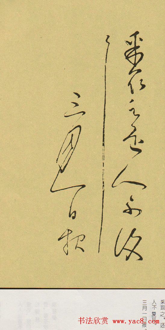 怀素传世书迹《冬熟帖》