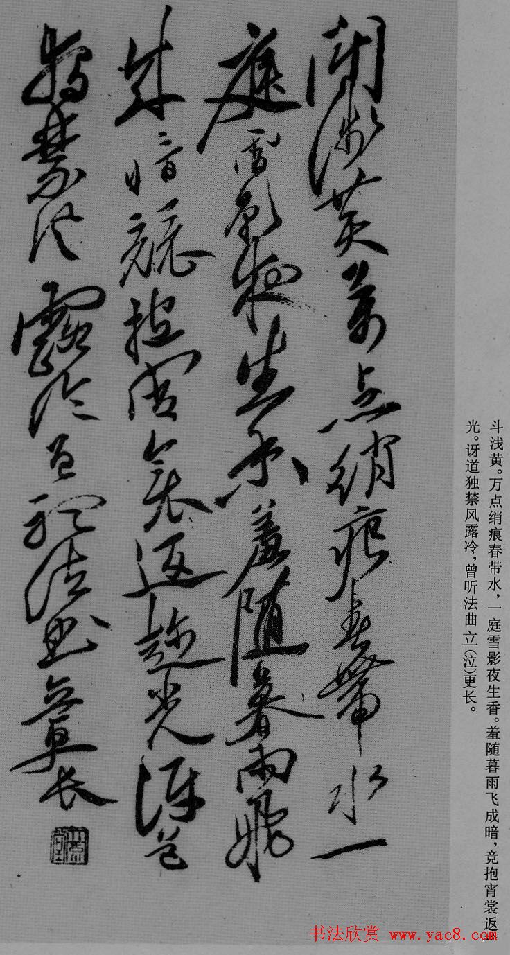 徐渭草书作品《月下梨花》