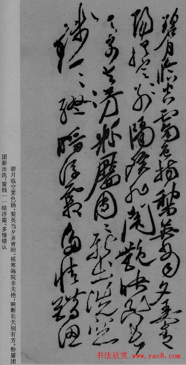 徐渭草书作品《月下梨花》