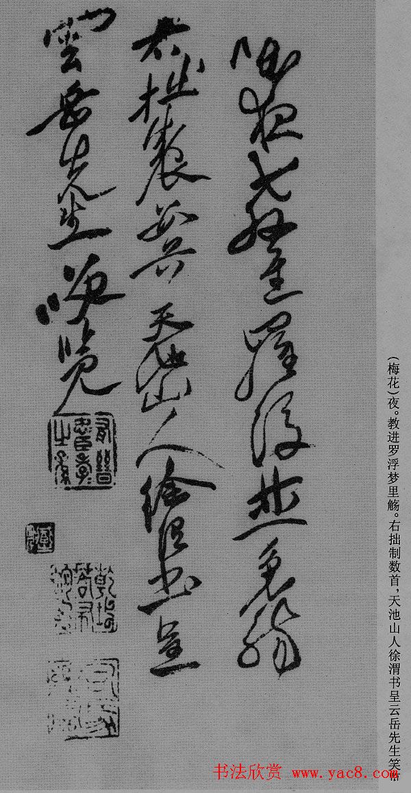 徐渭草书作品《月下梨花》