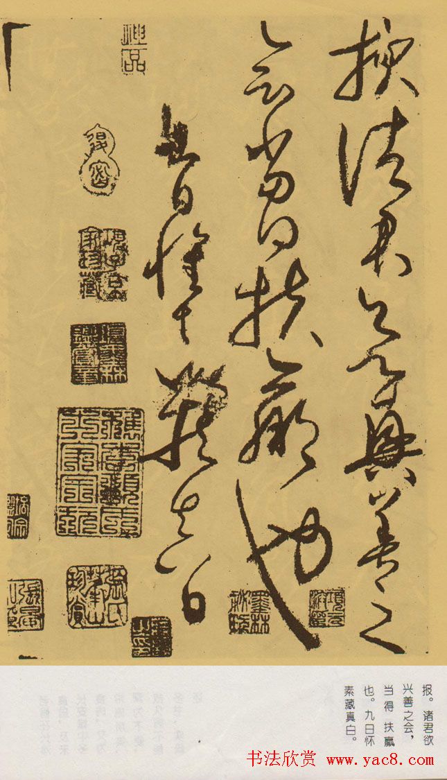 怀素传世书法赏析《食鱼贴》