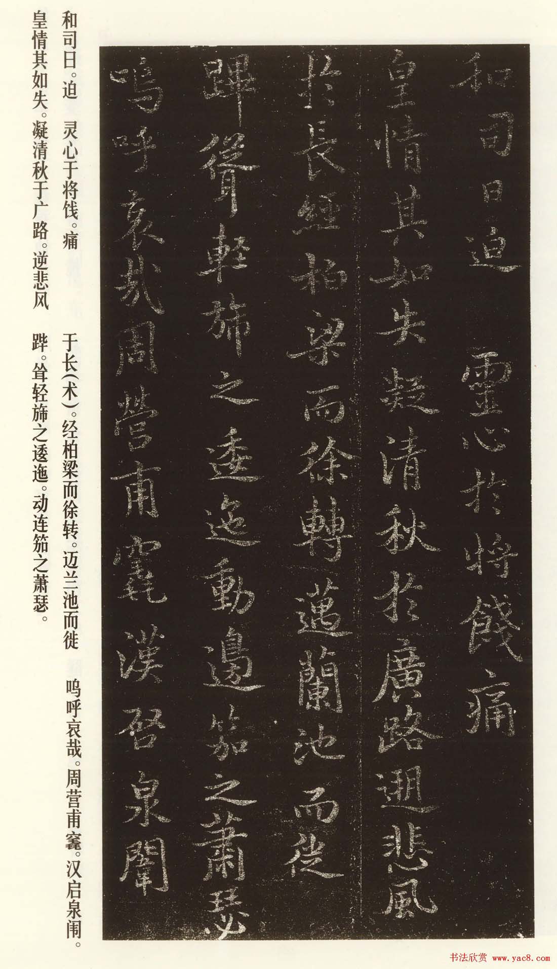 褚遂良书法作品欣赏《文皇哀册》